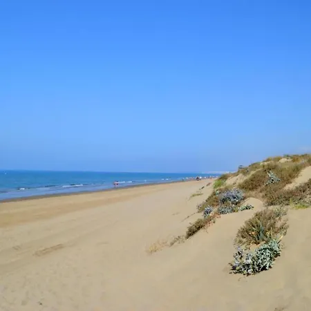 In Near The Marbella